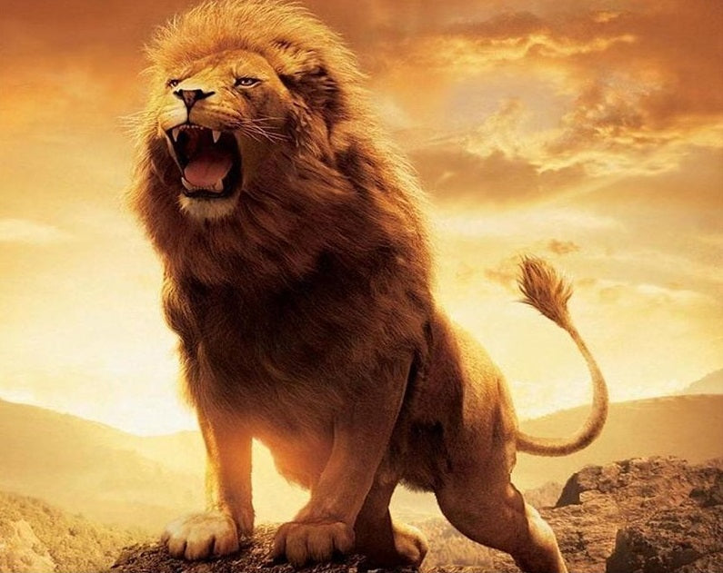 Roaring Lion