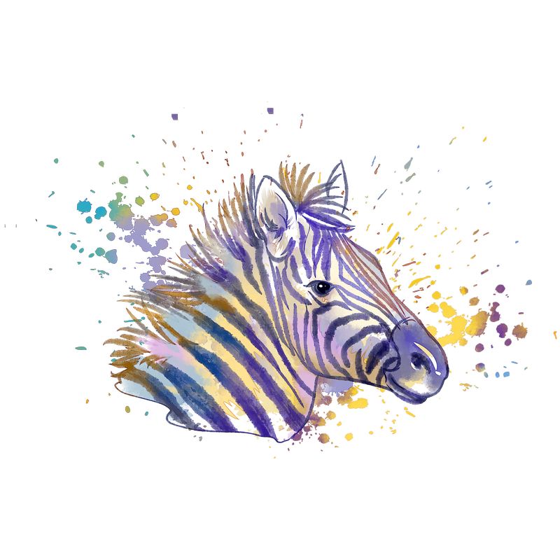 Zebra Art