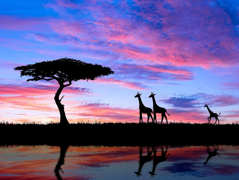 African Savanna